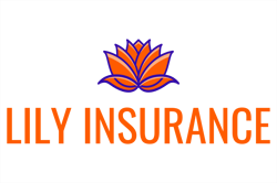 Lily_Insurance